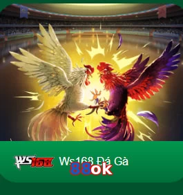 88ok
